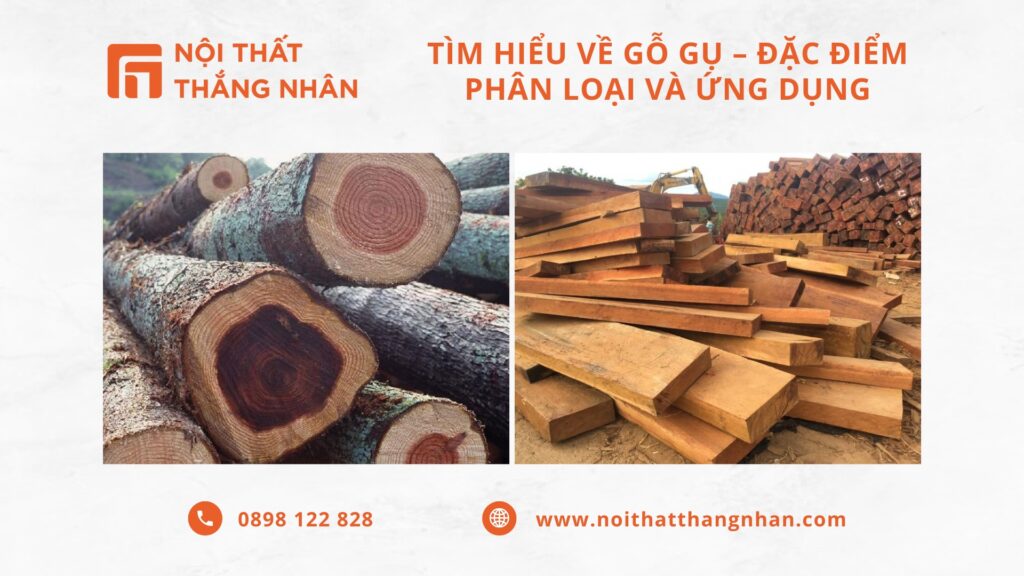 Tìm Hiểu Về Gỗ Gụ - Đặc Điểm, Phân Loại Và Ứng Dụng